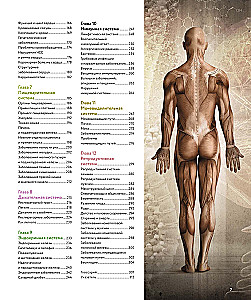 Anatomia człowieka. Wizualny przewodnik po wszystkich systemach organizmu: norma i patologie